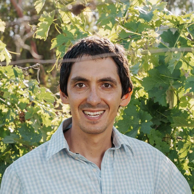 Miguel Pirrone